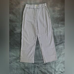 EVERLANE EASY PANT EUC